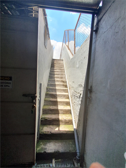 Foto REO179991