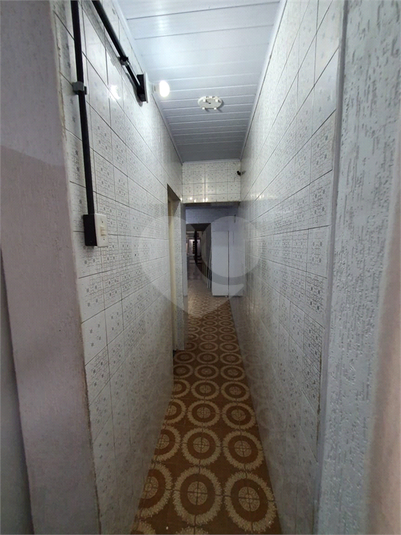 Foto REO179991