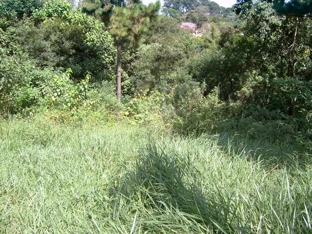 Venda Casa térrea São Paulo Vila Maria Alta REO179993 7