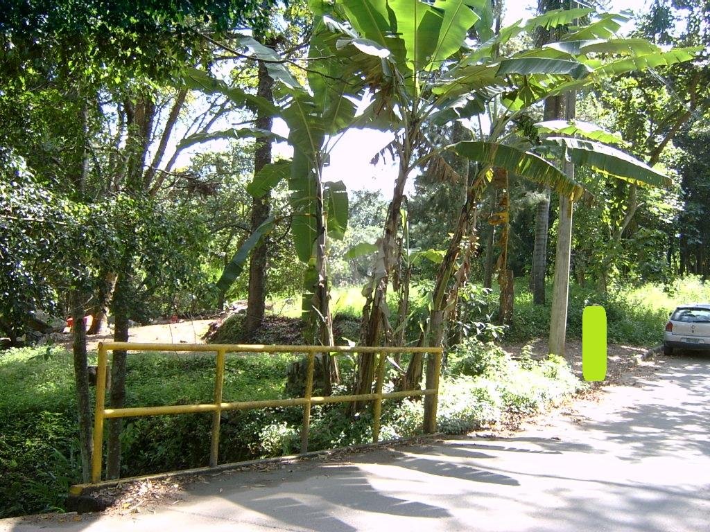 Venda Casa térrea São Paulo Vila Maria Alta REO179993 4