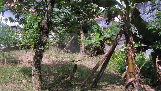 Venda Casa térrea São Paulo Horto Florestal REO180285 16