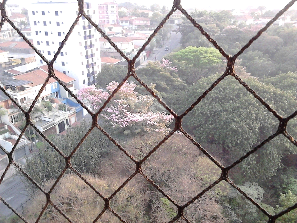 Venda Cobertura São Paulo Parque Novo Mundo REO180356 8