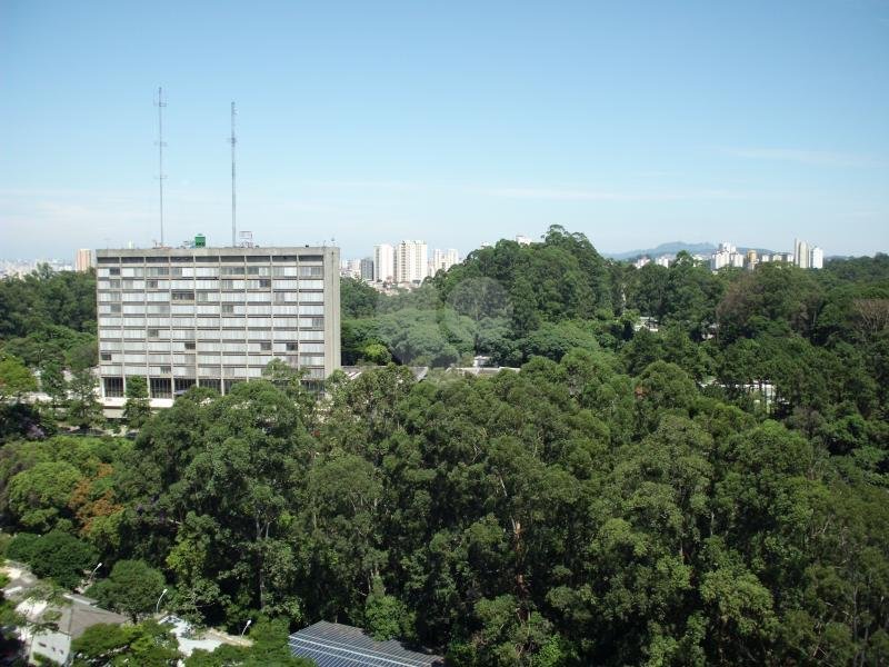 Venda Apartamento São Paulo Barro Branco (zona Norte) REO180418 15