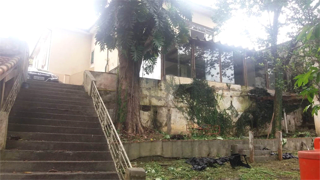 Venda Casa térrea São Paulo Vila Albertina REO180638 16