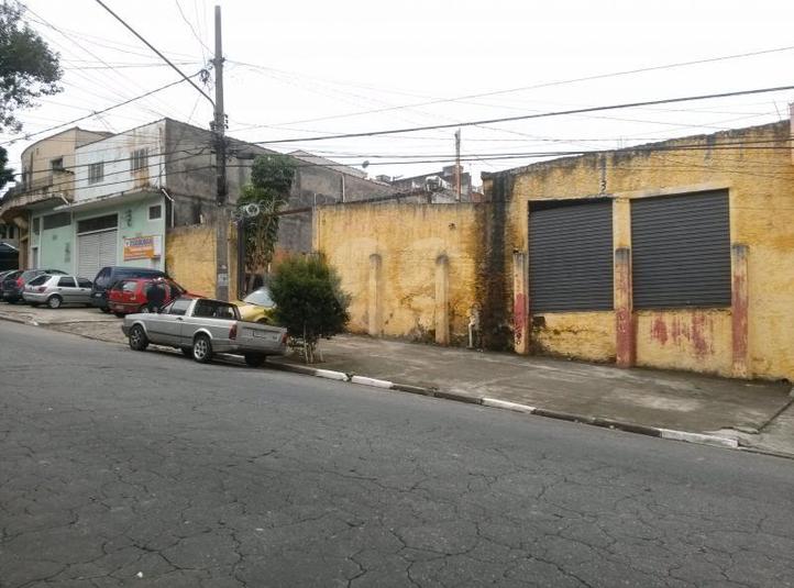 Foto REO180898