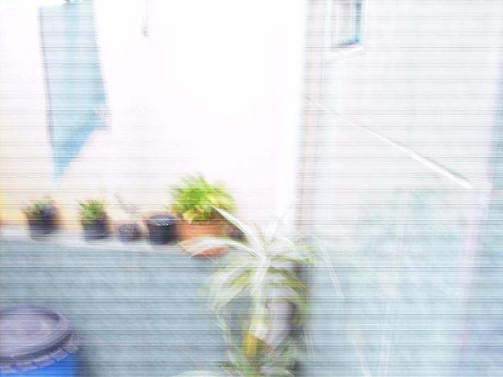 Foto REO180973