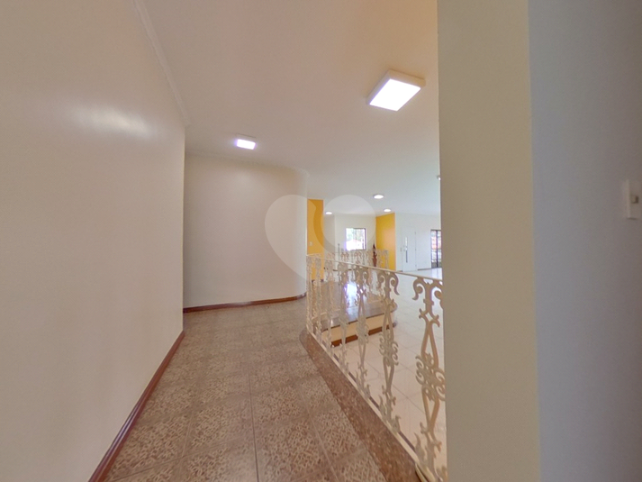Foto REO181338
