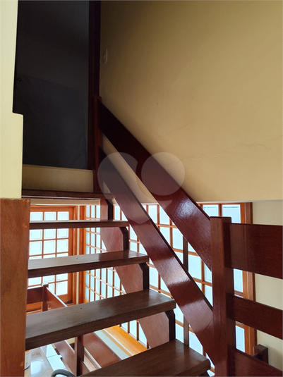 Foto REO181388