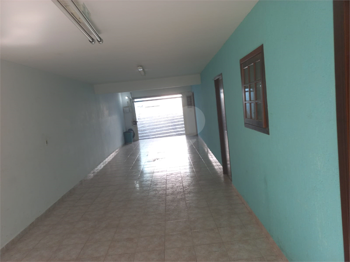 Foto REO181392