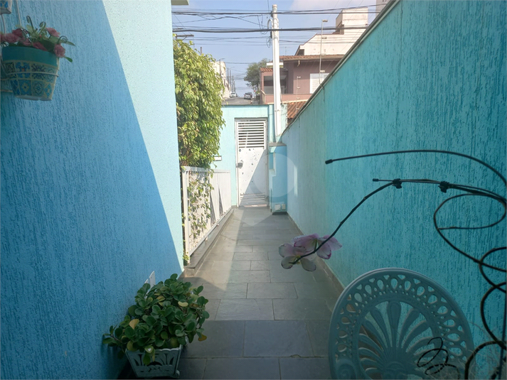 Foto REO181392