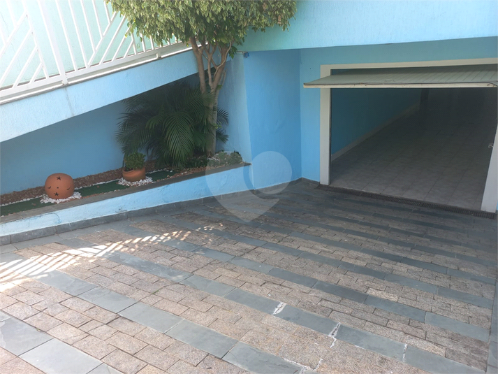 Foto REO181392