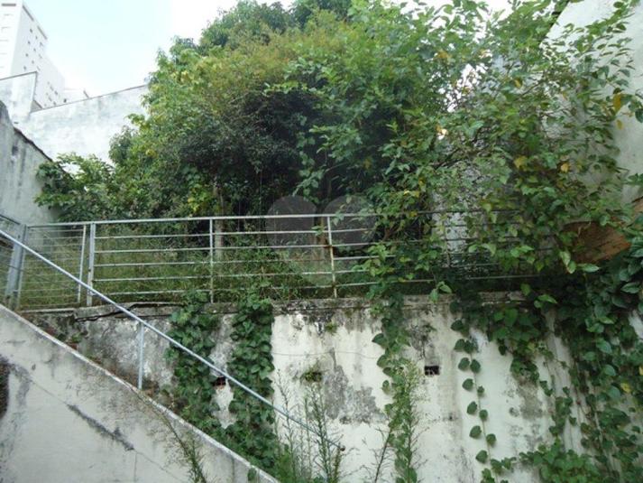 Foto REO181456
