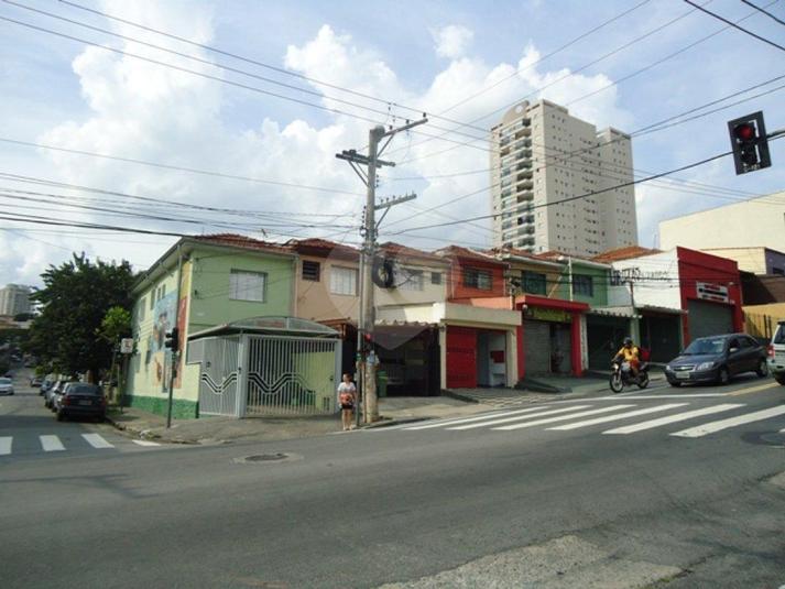 Foto REO181456