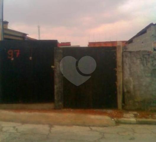 Foto REO181458