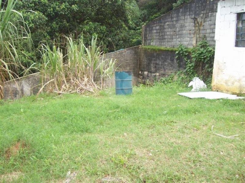 Venda Galpão São Paulo Horto Florestal REO181471 34