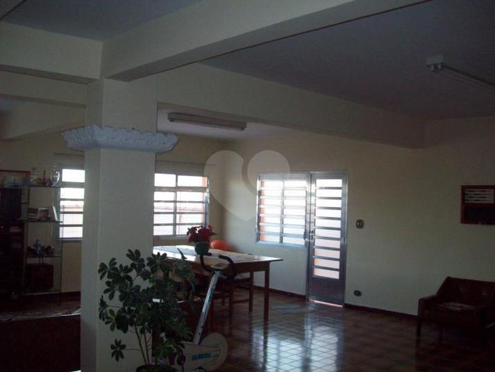 Foto REO181473