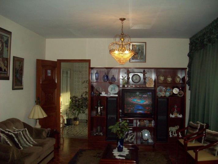 Foto REO181473