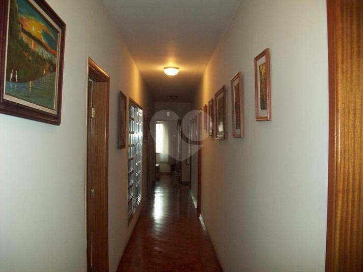 Foto REO181473