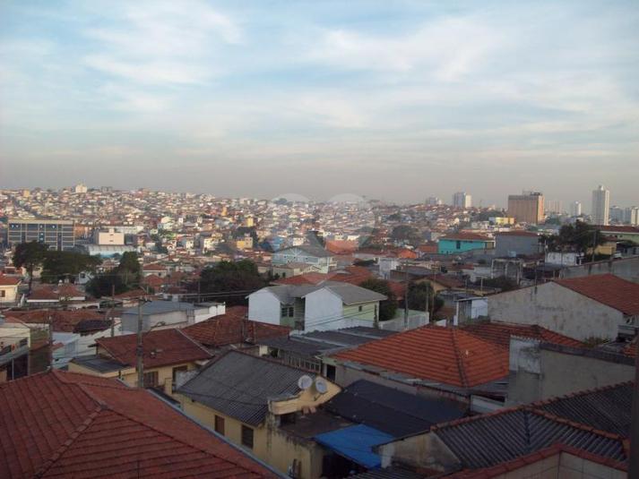 Foto REO181473