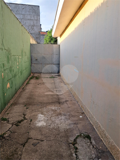 Foto REO181493