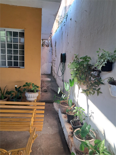Foto REO181493