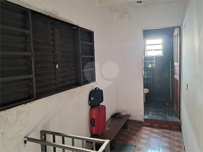 Foto REO181493