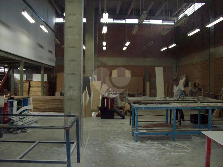 Foto REO181501