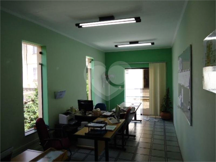 Foto REO181534