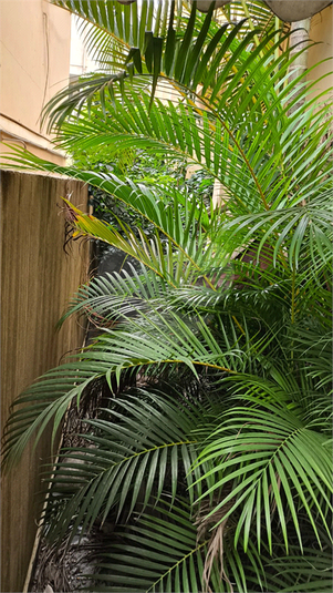 Foto REO181534