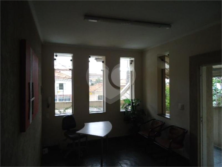 Foto REO181534