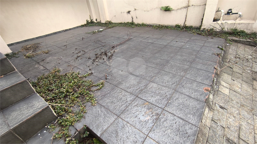 Foto REO181534