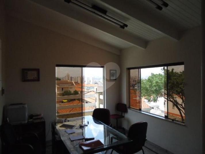 Foto REO181534