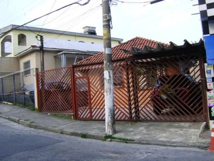 Foto REO181565