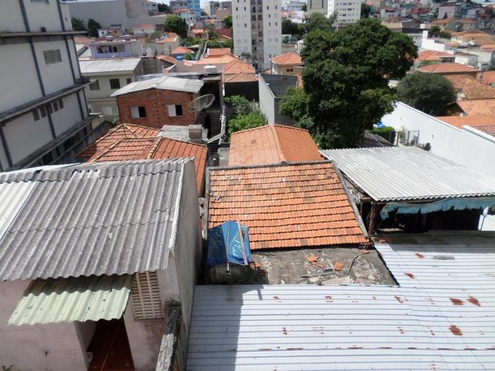 Foto REO181597
