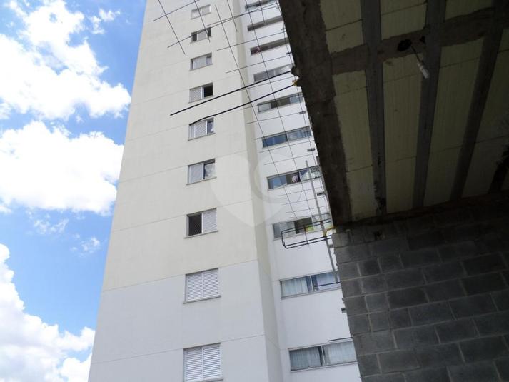 Foto REO181597