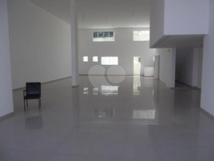Foto REO181641