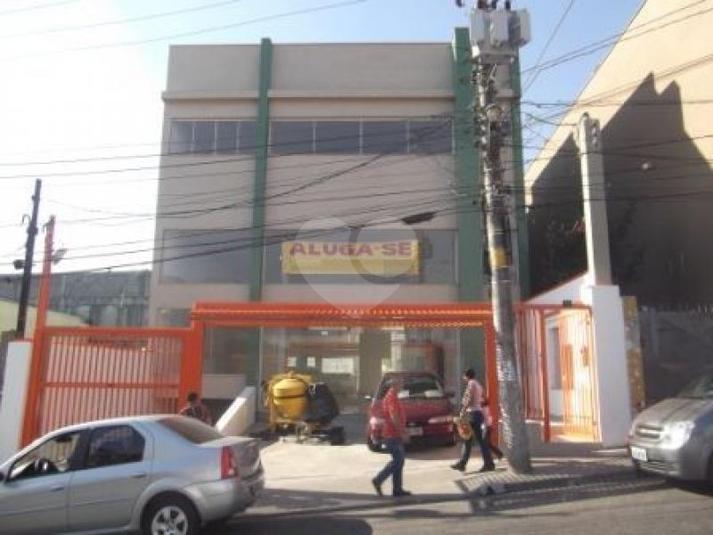 Foto REO181641