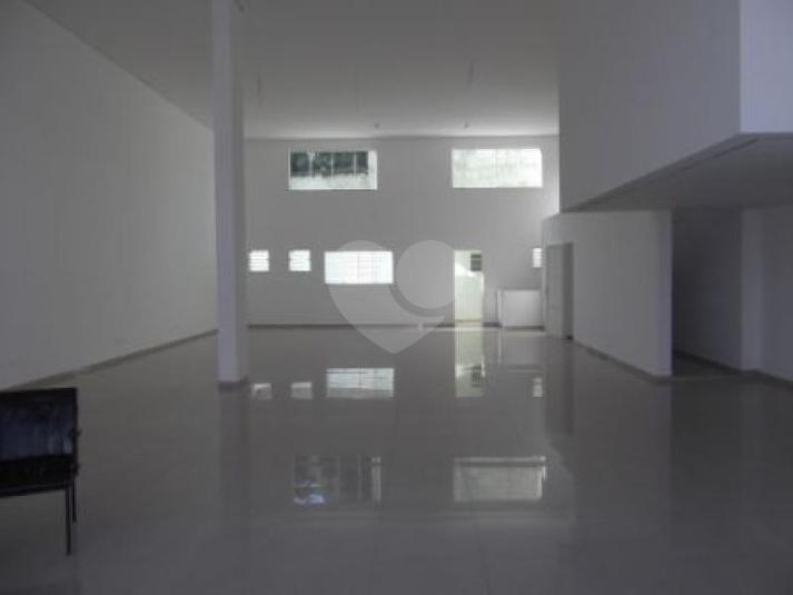 Foto REO181641