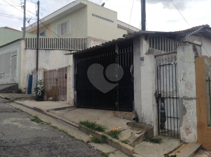 Foto REO181662