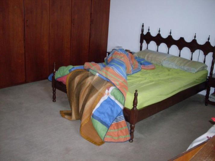 Foto REO181694