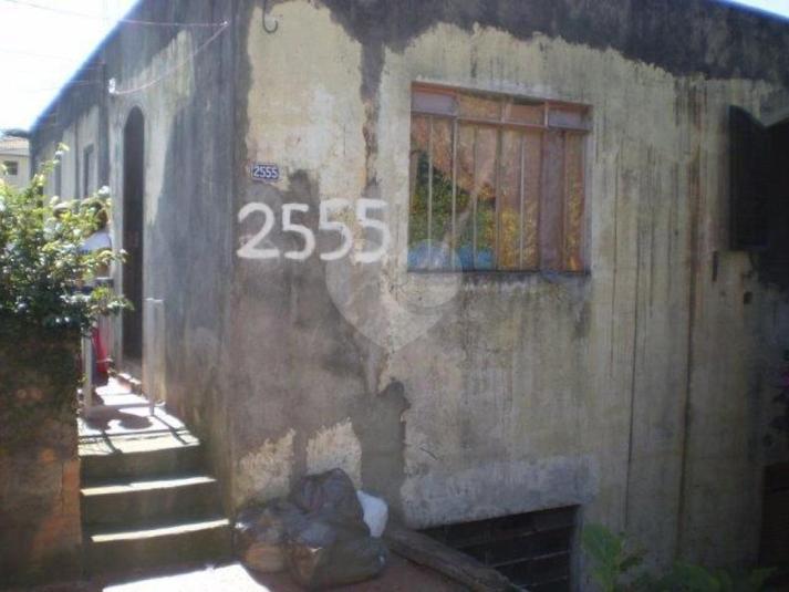 Foto REO181703