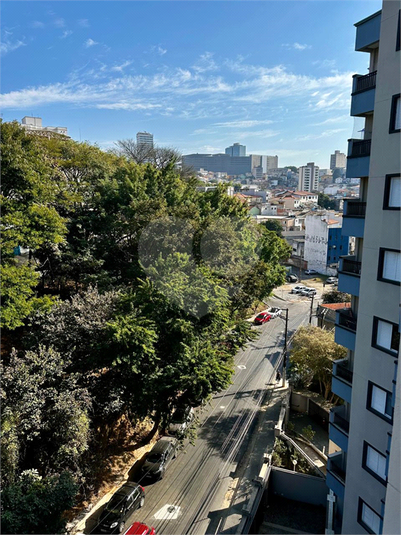 Foto REO181869