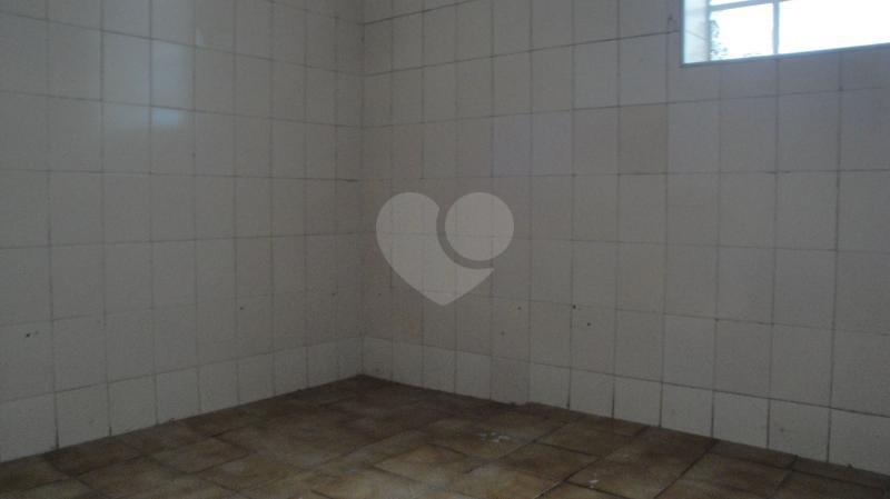 Foto REO182097