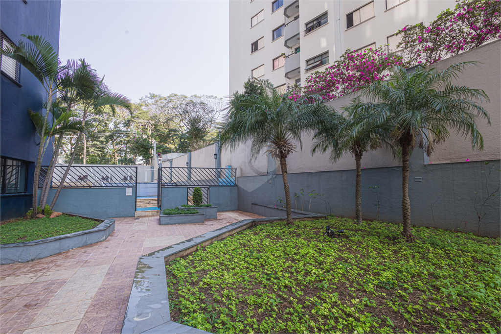 Venda Apartamento Guarulhos Vila Rosália REO182323 32