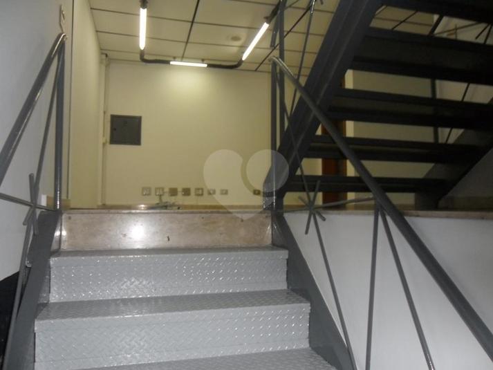 Foto REO182335