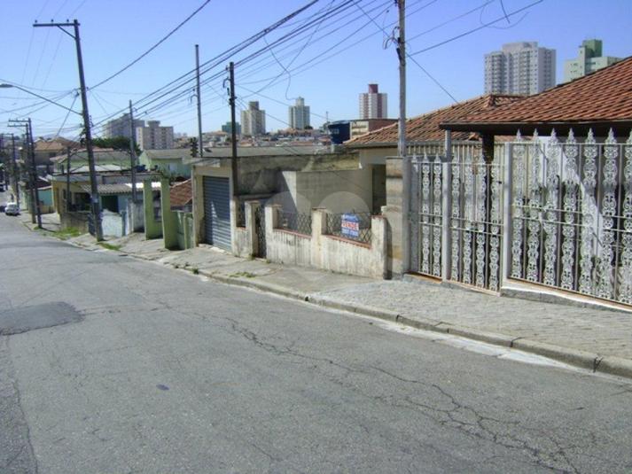 Foto REO182731