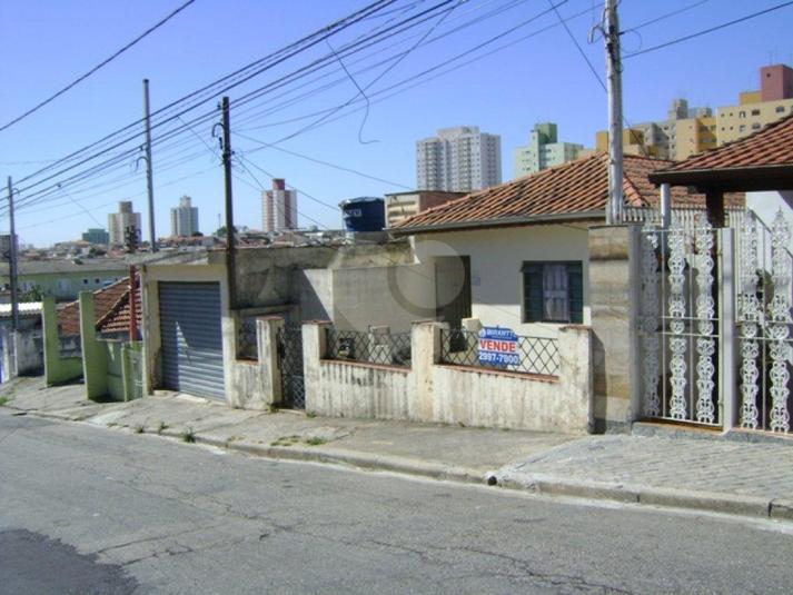 Foto REO182731