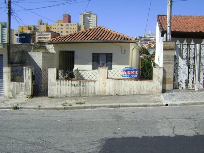 Foto REO182731