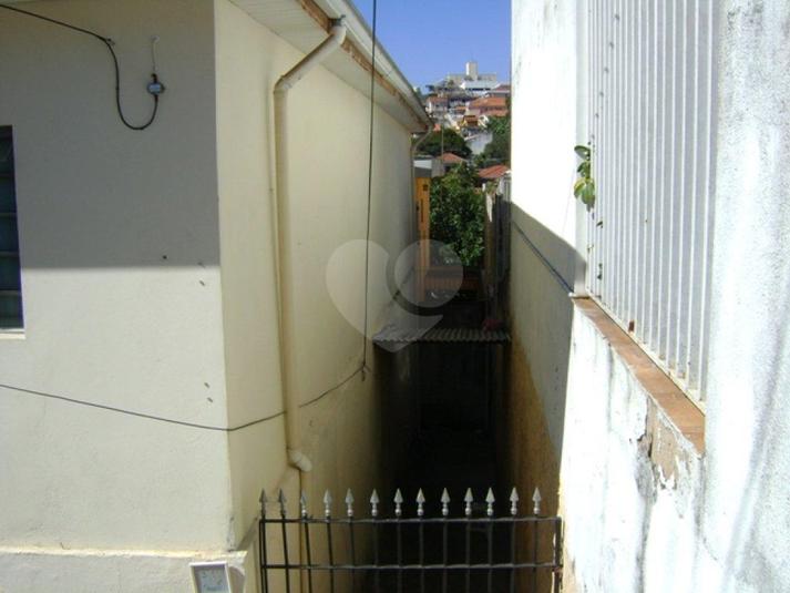 Foto REO182731