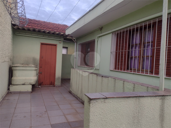 Foto REO182798